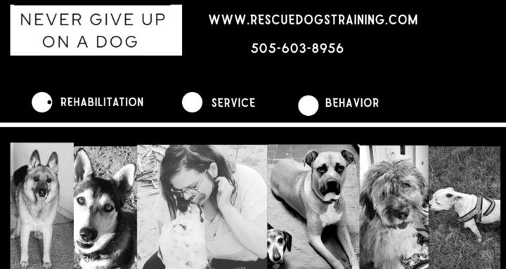 NEVER GIVE UP ON A DOG 