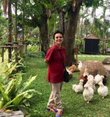 Krongchit Phettaksina