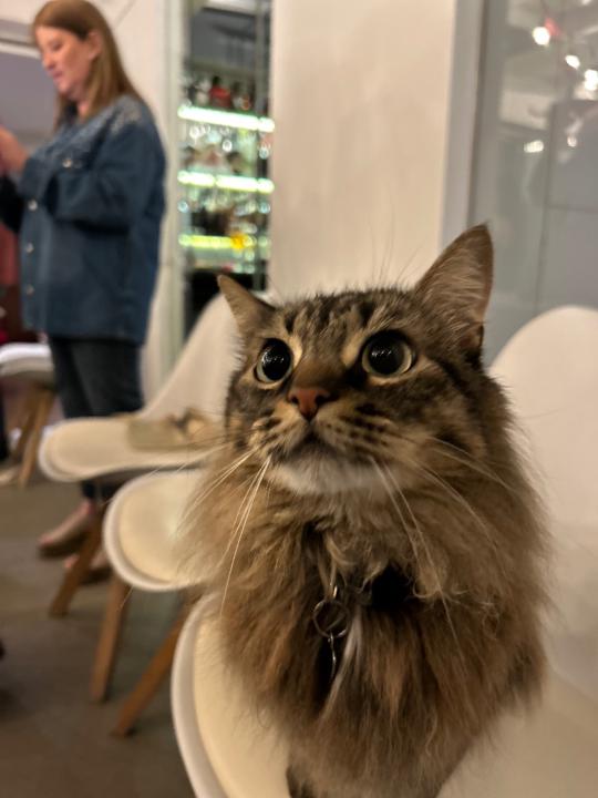 Renan del Piero Ponce de leon