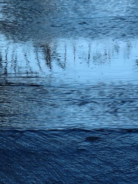 Susan Lucerne-Lawton