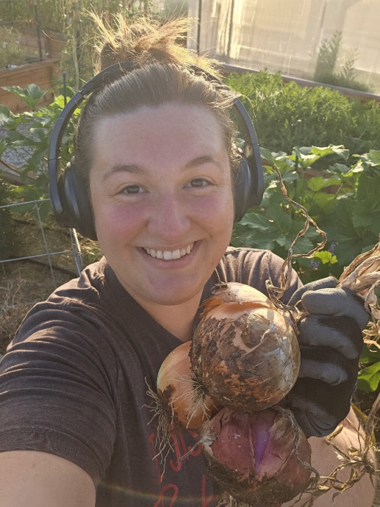 🧅 When to Harvest & How to Cure Onions