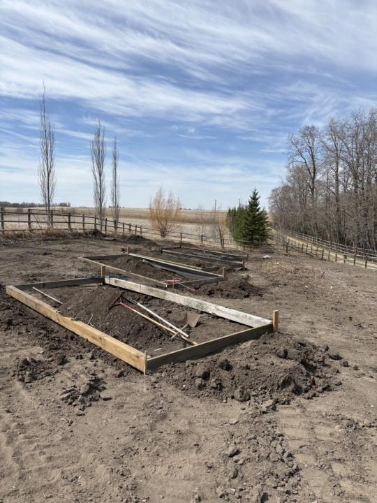 New Beds 