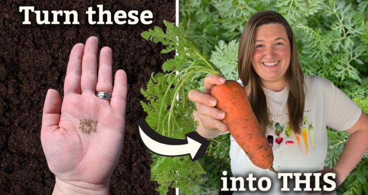 The Kitchen Garden Club