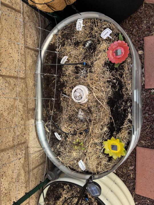 Replanting…
