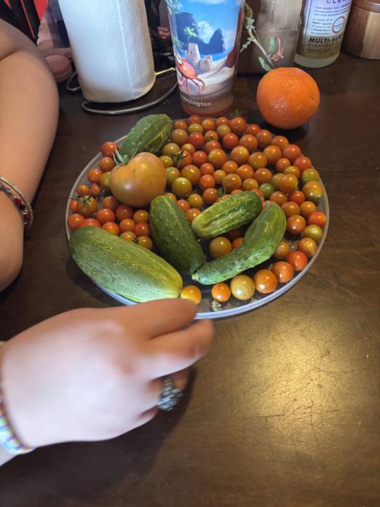 Our harvest 😁