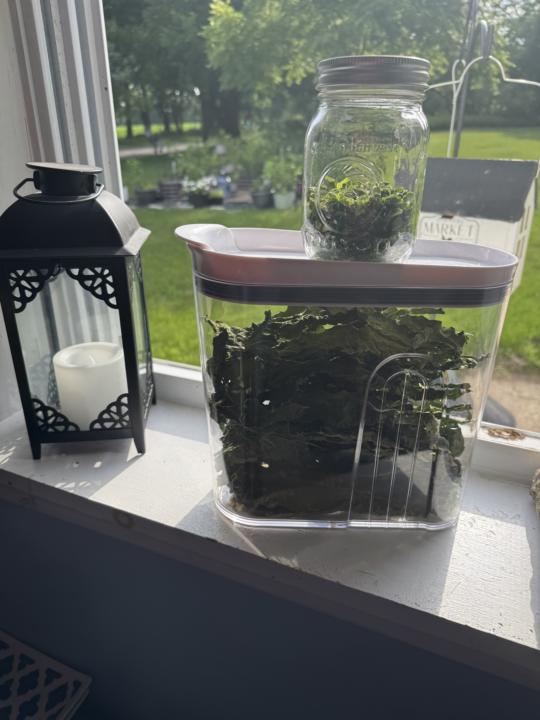 Fresh from the garden