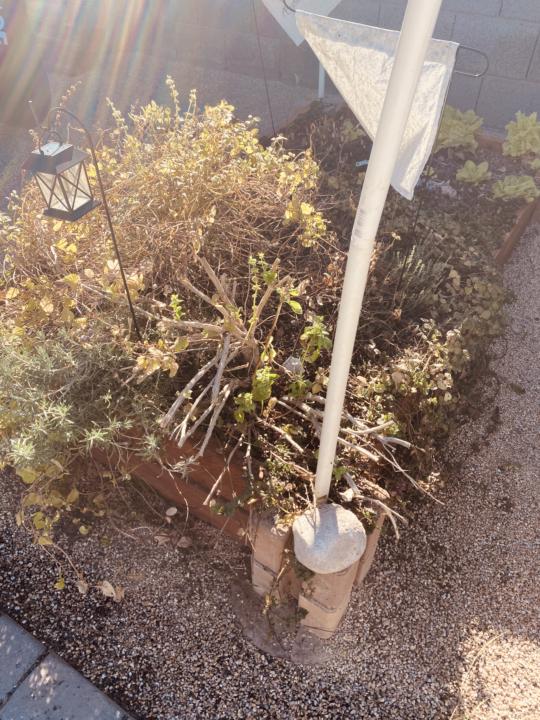 My Herb Garden, before...