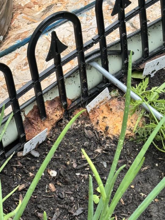 I’m reading this means good soil?
