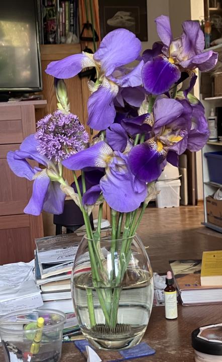 Irises