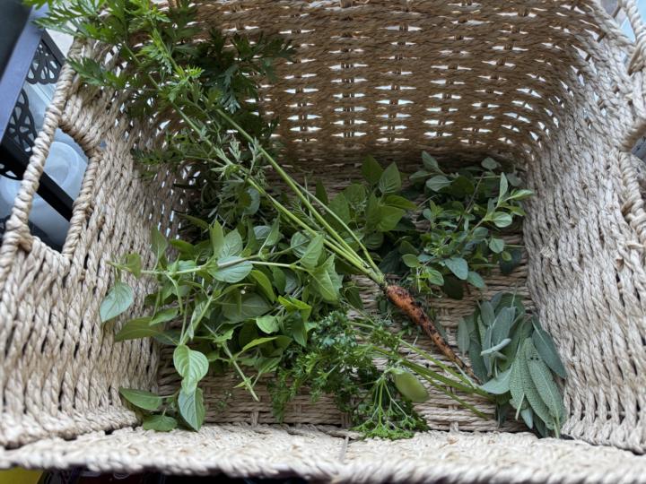 My projects from the garden for today 