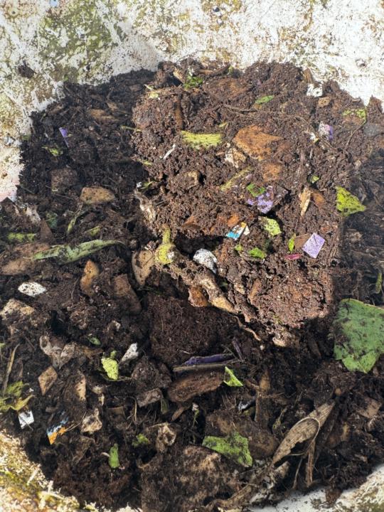 Working my compost bucket