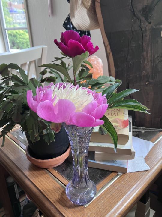 Loving the peonies
