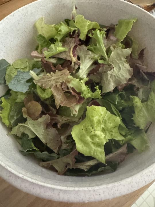 Fresh greens from the garden