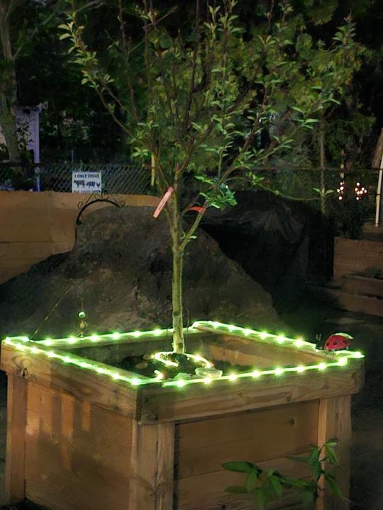 Night garden!
