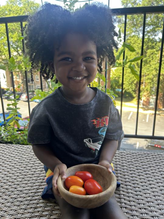 My baby’s first harvest 🍅