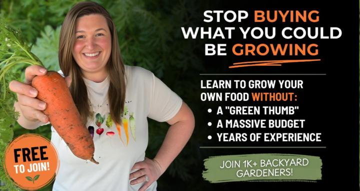 DIY Gardening