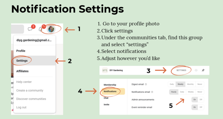 🔔 Notifications