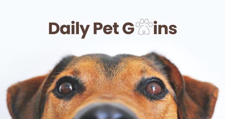 Daily Pet Gains