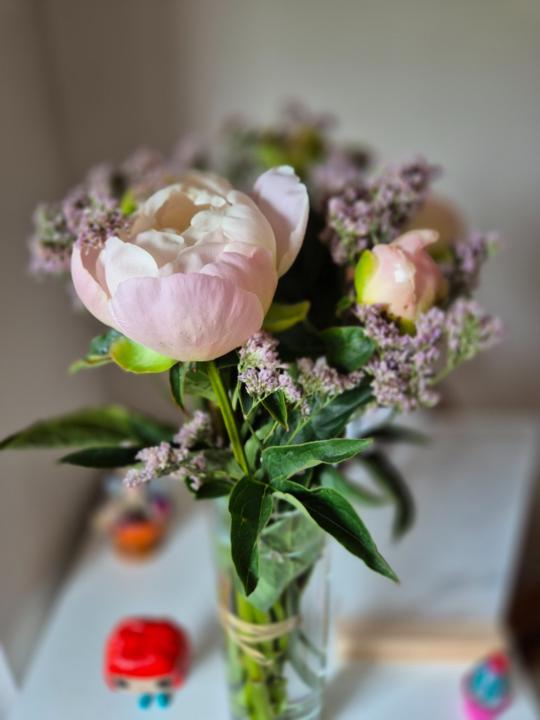 Mayra Fernandez Menendez