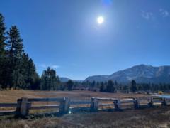 Maria Christina Villarreal