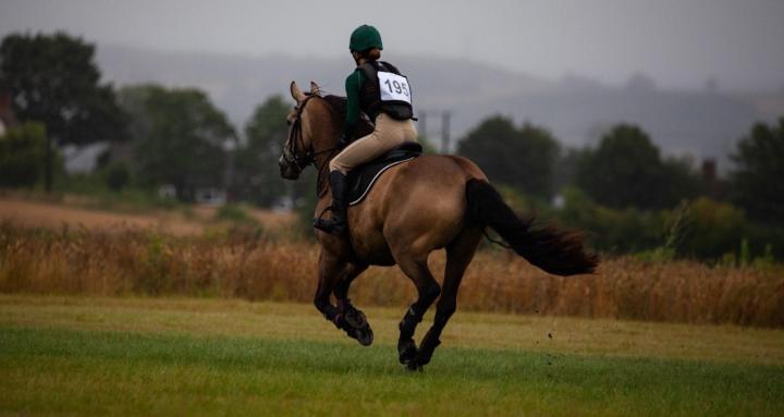 Digital Marketing | Equestrian