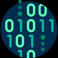 It Dev