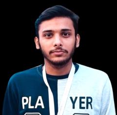 Mehdi Raza