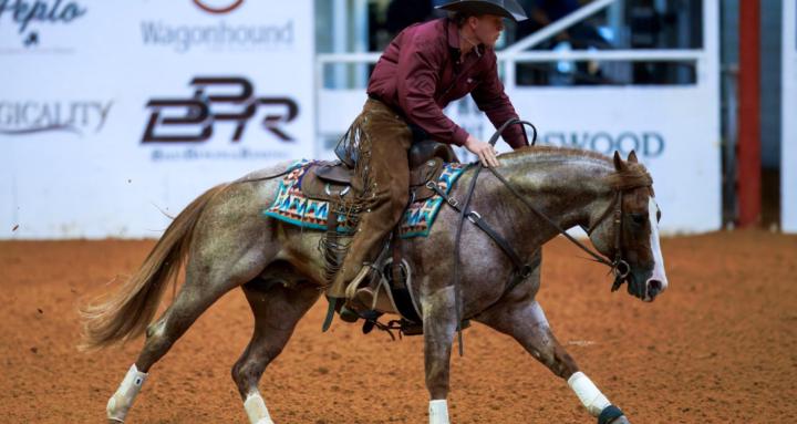 Performance horse Training