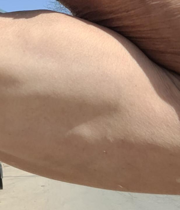 Jose Luis Montesinos