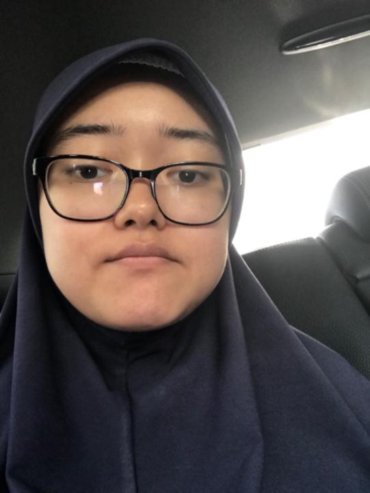 Nik Nur Aqeela Nik Mohd Alimin