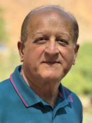 Vikram Gulati