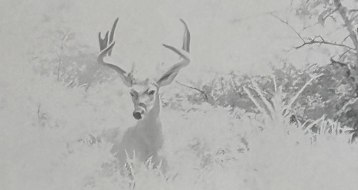 Midwest Whitetail academy