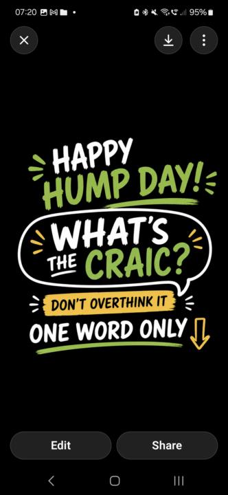 Happy Hump Day 🐫