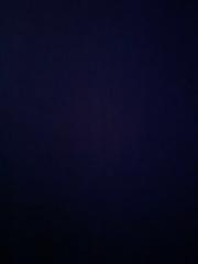 Jean-William Duchesne