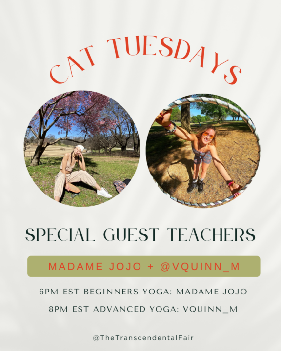 Yoga Details for Tonight