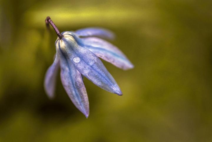 Aperture Mode Made Simple