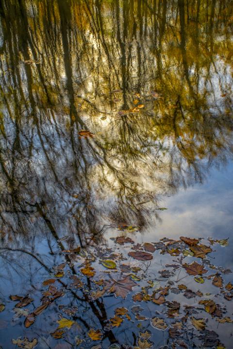 Photo Challenge: Reflections