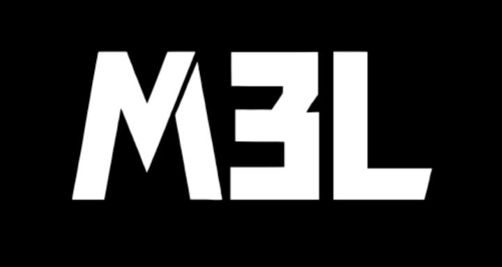 M3L Community