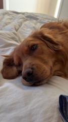 Nadia Zusalia Garcia