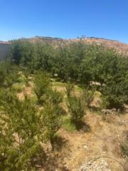 عبدالرحمن العتيبي