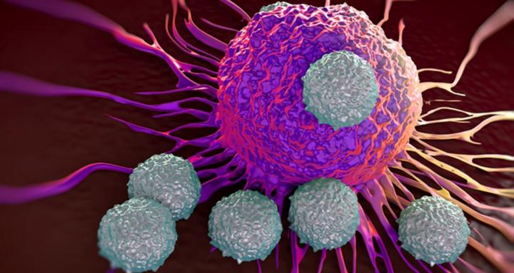 Molecular and Cellular Biology