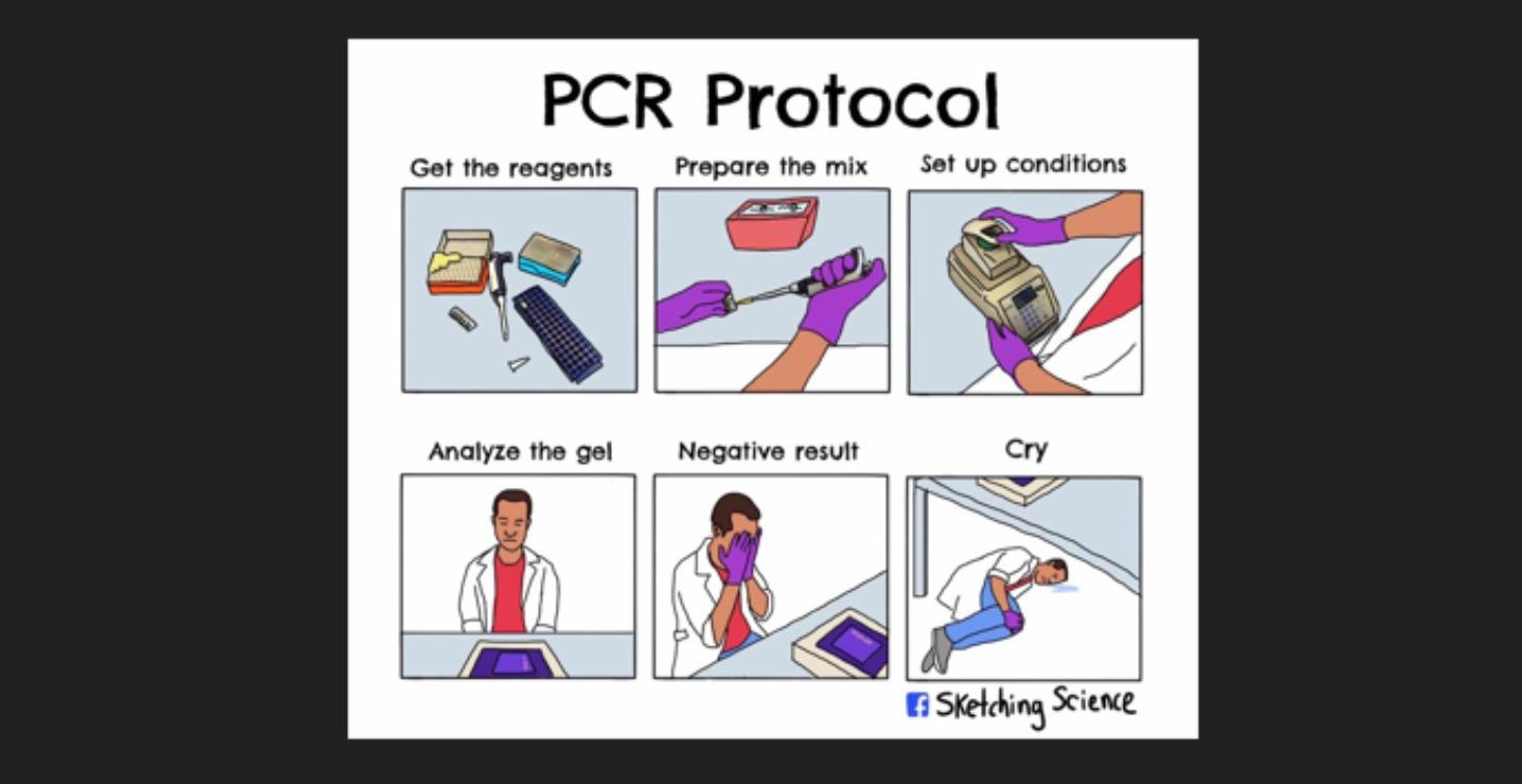PCR....and Friends