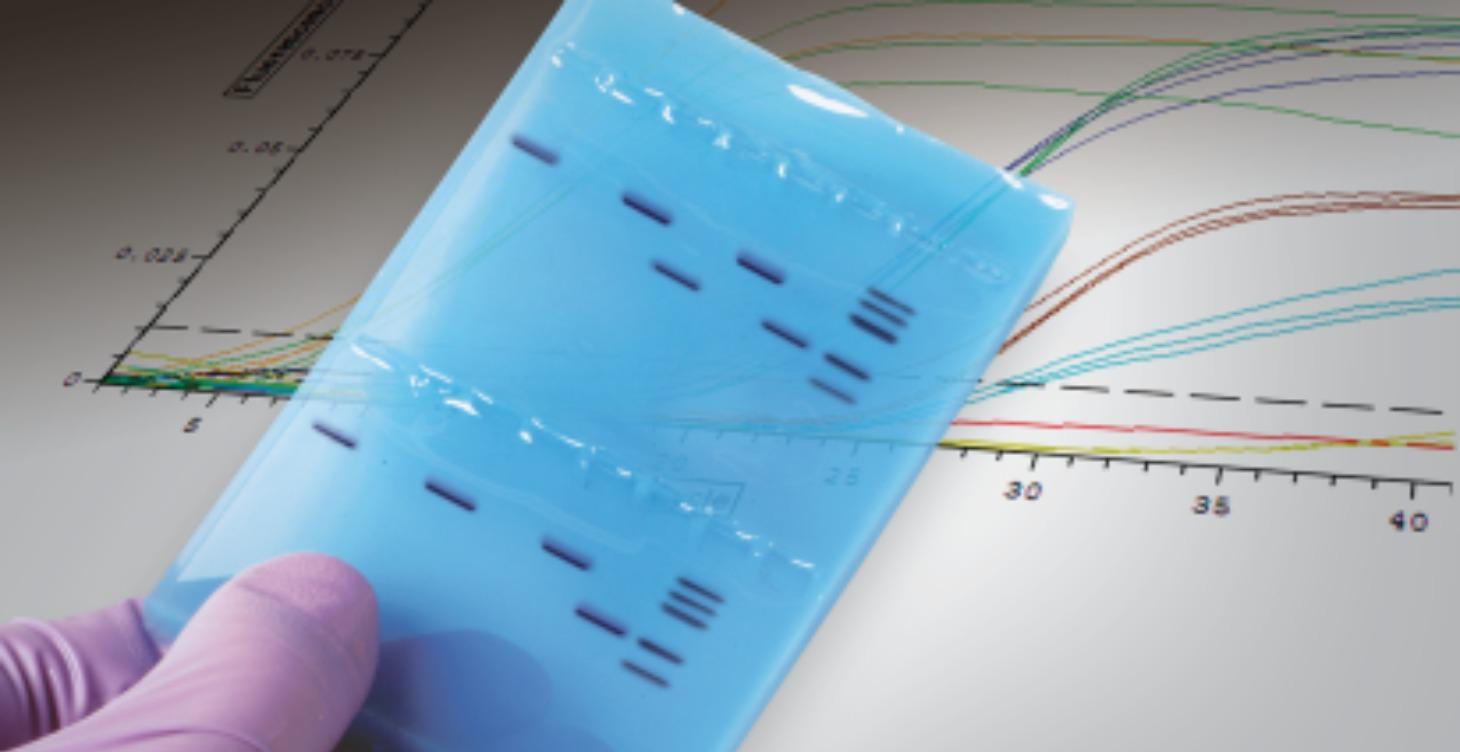 PCR, Deep Dive
