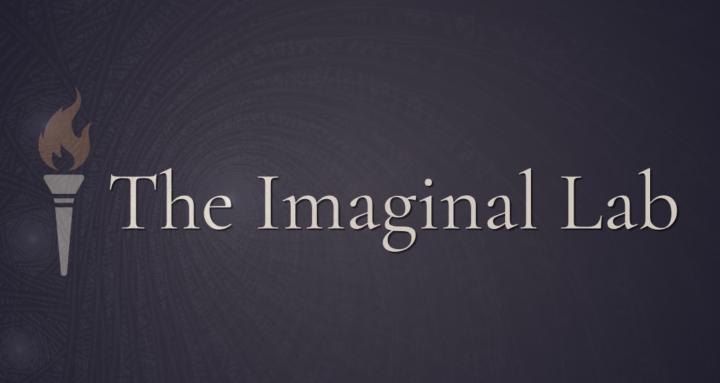 The Imaginal Lab