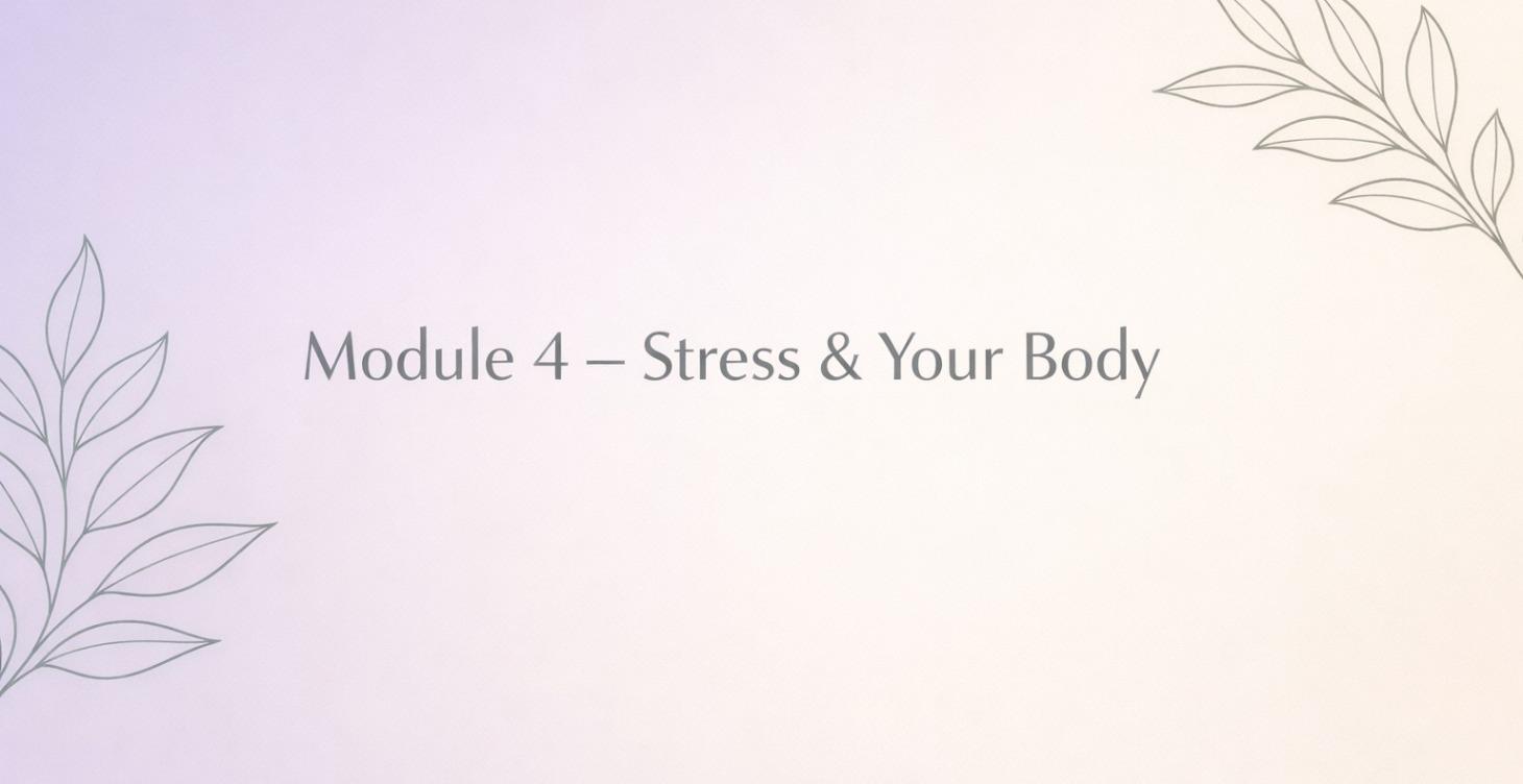 Stress & Your Body