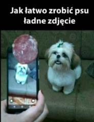 Laco Laco