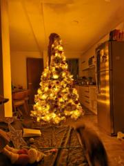 Brallan Cristofer Asca Arevalo