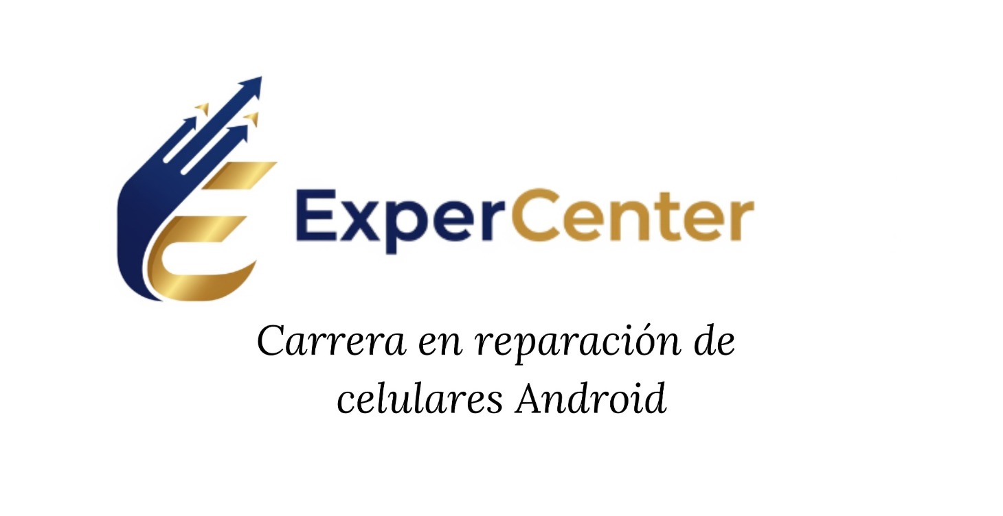 Acceso a todos los cursos y Workshop en vivo