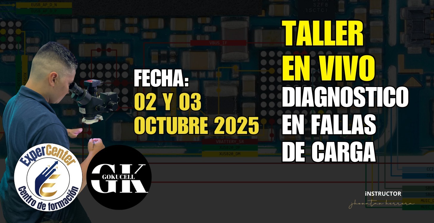 Taller en vivo sobre fallas de carga