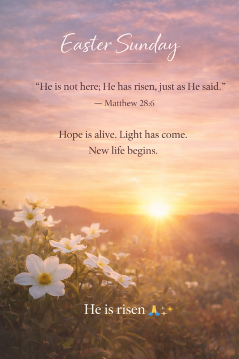 Happy Easter 🌷